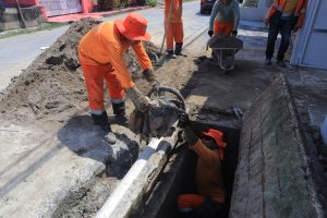 54923878416_4b7f9bed59_o