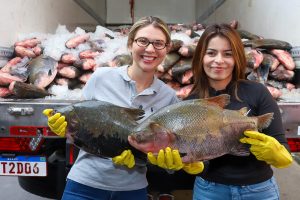 55166785601_2392d2bb2a_c