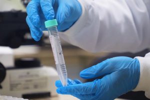 Divulgação_FVS (1) (1)