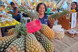 Feira de Produtos Regionais_Foto Ruth Jucá01