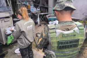 Ipaam_Araras, jabutis e periquitos são apreendidos em operação contra cativeiro ilegal em Manaus_Créditos da Foto 3_Divulgação_Ipaam_29_05_2026