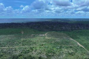 Ipaam_Operação Tamoiotatá 6 em Apuí_Crédito da foto 2 – Ipaam-Divulgação – 01-04-2025