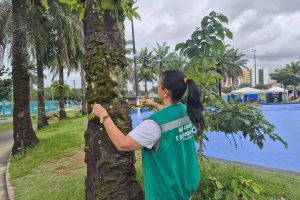 Prefeitura de Manaus realiza manutenção da arborização no CSU do Parque 10 e inicia plantio de 2 mil mudas no local 3