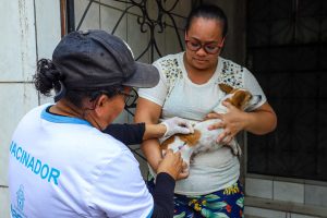 SEMSA MANAUS PSS Campanha Antirrábica (3)