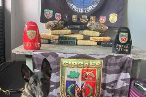 SSP-AM_BASE_ARPAO_2_CAO_POLICIAL_LOCALIZA_MACONHA_EM_MALA_FOTO_DIVULGAÇÃO_SSP_AM