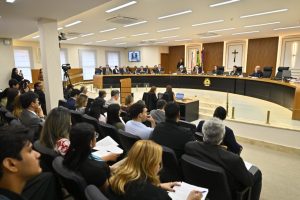 Sessão do Pleno - Joel Arthus