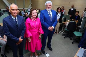 TREINAMENTO E-AUDITOR