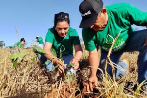 WhatsApp Image 2025-11-14 at 20.09.39 (1)