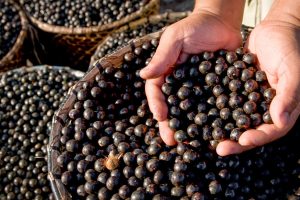 açaí