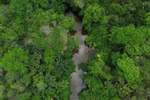 dji_0259_0
