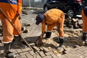 seminf_eduardo ribeiro (1)